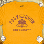 Critical Flair Polyhedron U T-Shirt Gold / S - Dungeons and Dragons and tabletop RPG gaming apparel